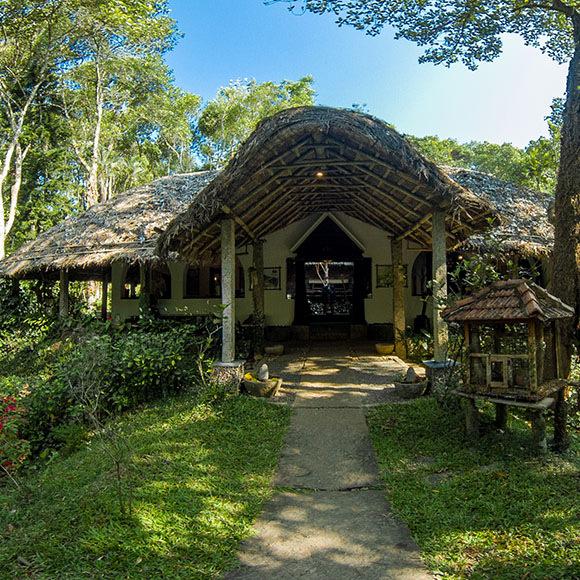 Virtual Tours