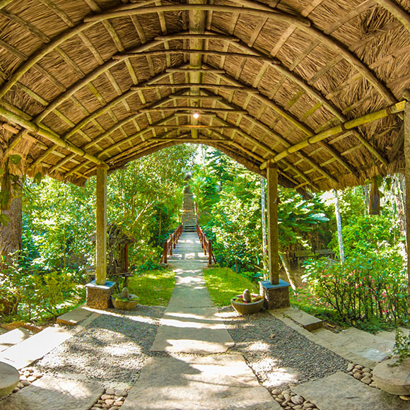 Virtual Tours