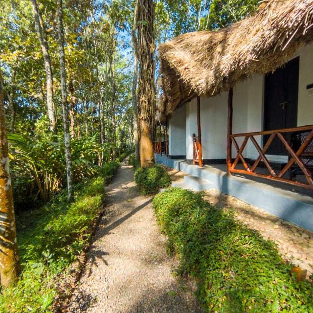 Virtual Tours