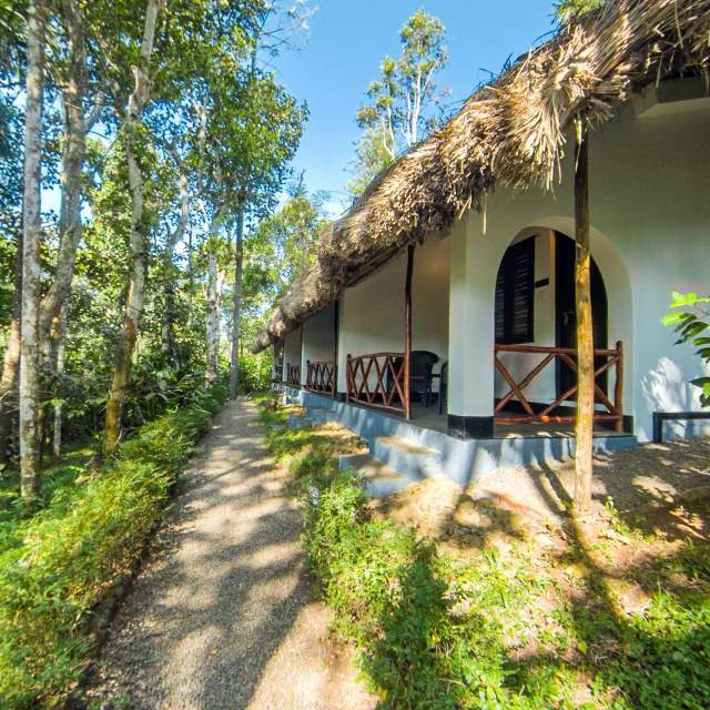 Virtual Tours