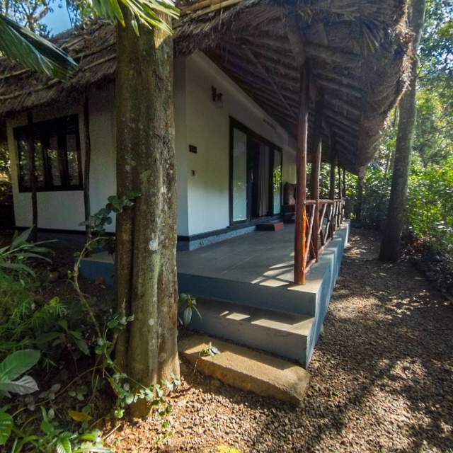 Virtual Tours
